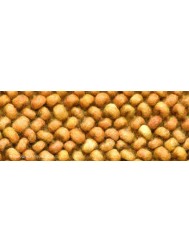 Denver Terra Rug - Thumbnail - 3