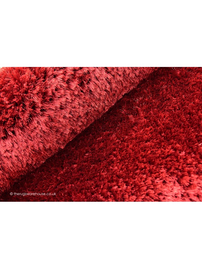 Plush Red Rug - 4