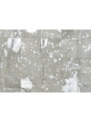 Pepin Rug - Thumbnail - 3