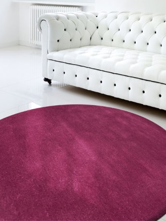 Comfort Violet Circle