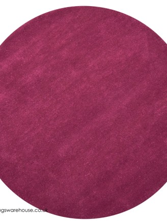 Comfort Violet Circle