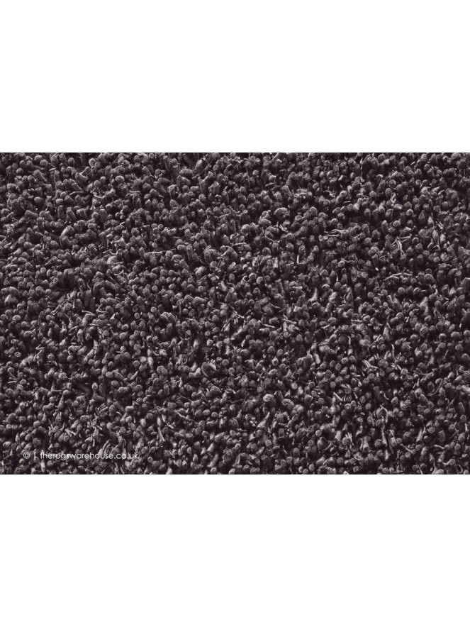 Maine Fossil Rug - 3