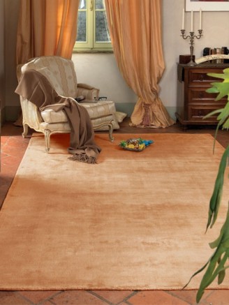 Trendy Shiny Apricot