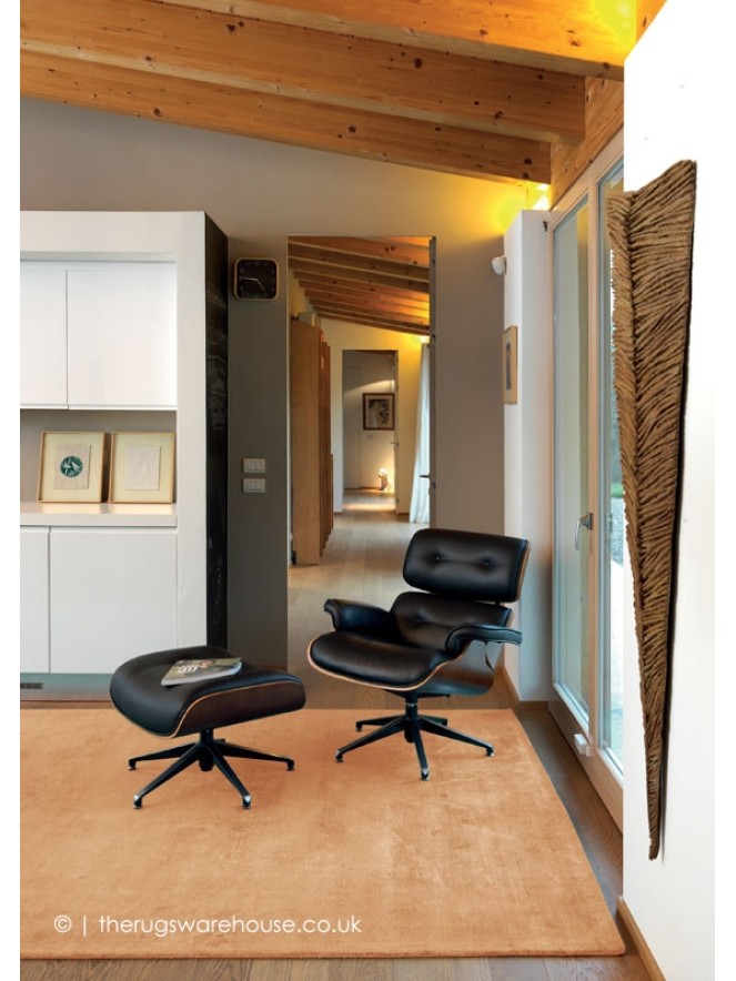 Trendy Shiny Apricot Rug - 3