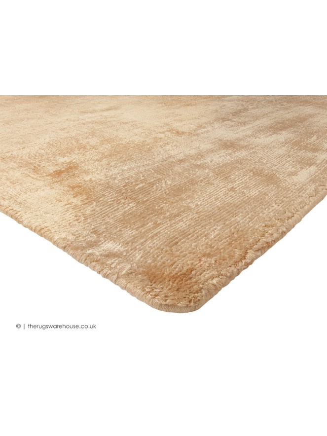 Trendy Shiny Apricot Rug - 4