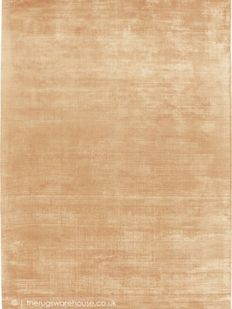 Trendy Shiny Apricot