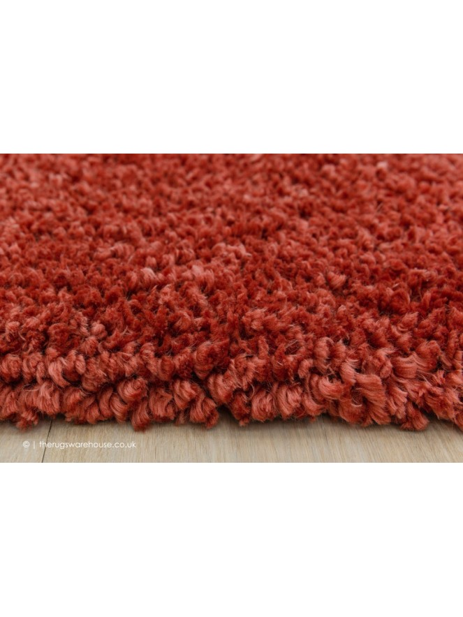 Spiral Twist Coral Rug - 4