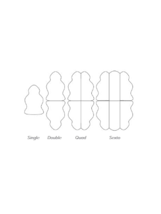 Sheepo Ivory Rug - 6