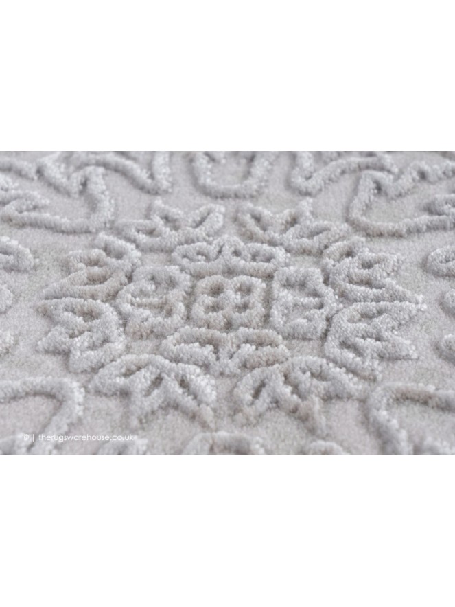Oneira Silver Rug - 3