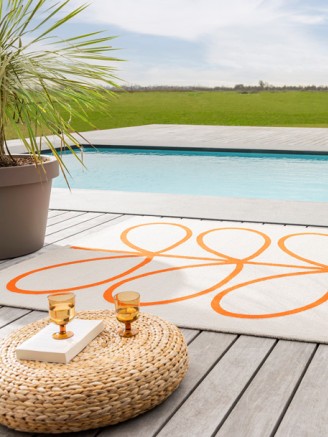 Giant Linear Stem Persimmon