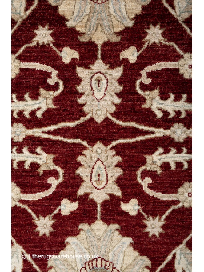 Ziegler Jegin Rug - 3