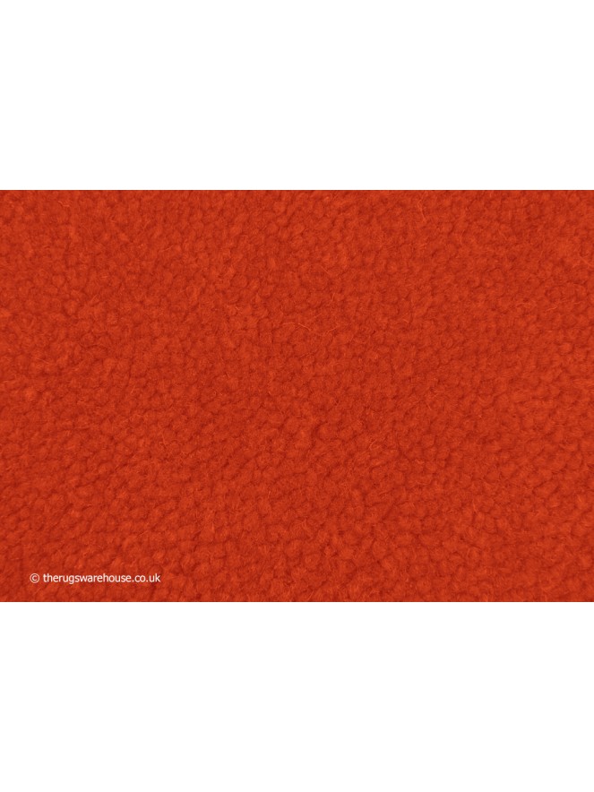 Home Comfort Burnt Orange Rug - 5