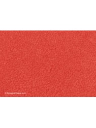 Home Comfort Coral Rug - Thumbnail - 5