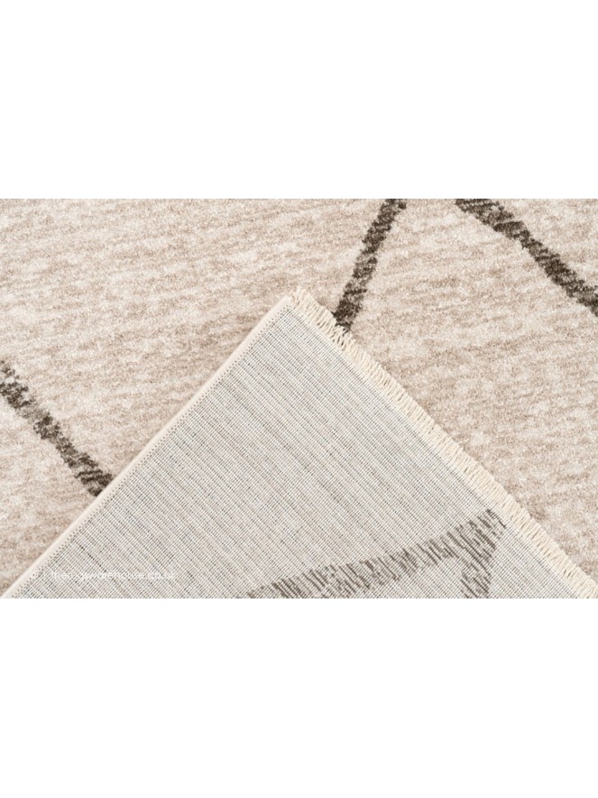 Elmira Beige Rug - 4