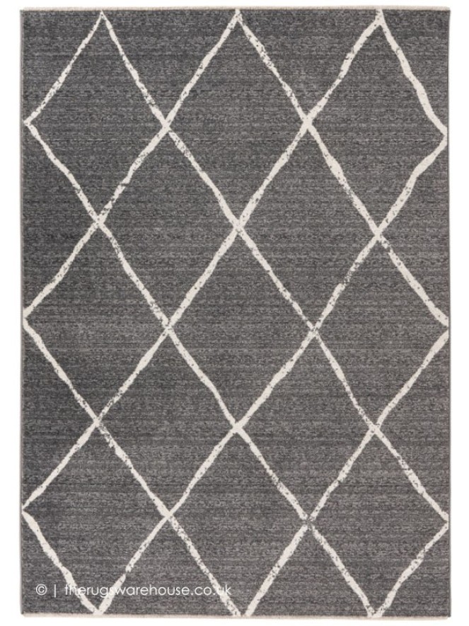 Elmira Silver Rug - 6