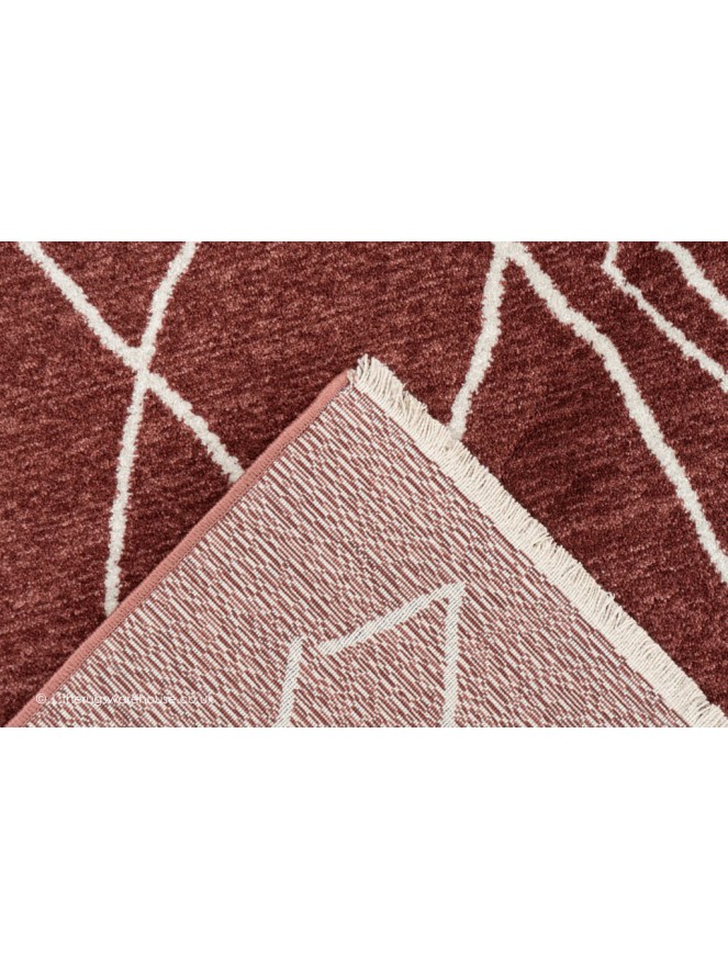 Drelma Terra Rug - 4